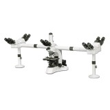 Series Multi-viewing Microscope