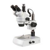 Stereo Microscope