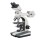Polarizing Microscope